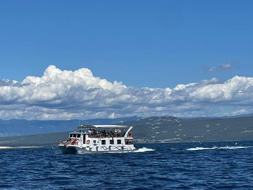 Immagine nº 8 di Krk: Baia d'Oro, Grotta Azzurra e Crociera delle 4 Isole attività a Ponte, caricata dal fornitore