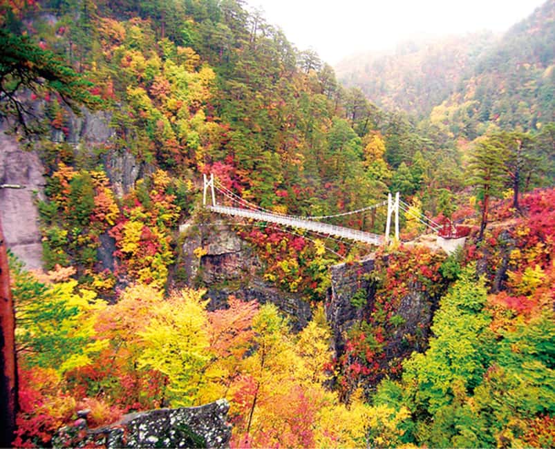 Immagine nº 5 di Tokyo: tour di un giorno a Nikko con autista inglese e orari flessibili... attività a Nikkō, caricata dal fornitore