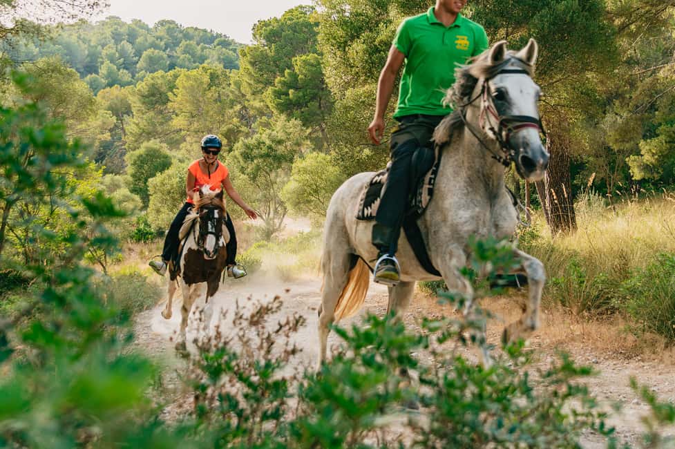 image n.3 of Mallorca: Horseback Riding Experience with Food Options activity in Balearic Islands, uploaded by supplier