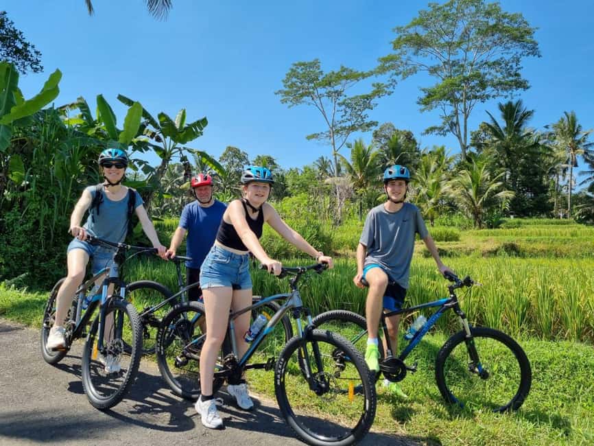 image n.1 of Ubud: Downhill Cycling with Volcano, Rice Terraces, and Meal activity in South Batur, uploaded by supplier