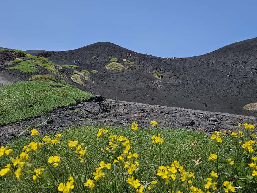 image n.19 of Mount Etna: North Upper Craters Guided Tour by 4x4 with Trek activity in Catania, uploaded by supplier