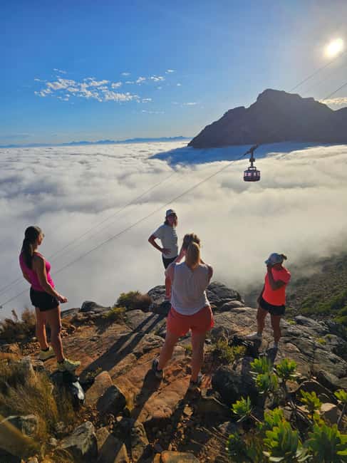 image n.5 of Cape Town: Table Mountain Hike with an Expert Guide activity in Cape Town, uploaded by supplier