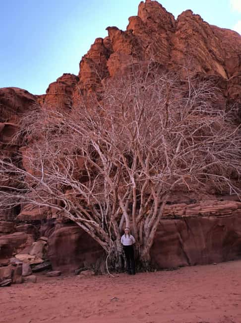 bild nr.5 av WADI RUM: Halvdagsutflykt i JEEP på morgonen eller i solnedgången aktivitet i Akaba, uppladdad av arrangören