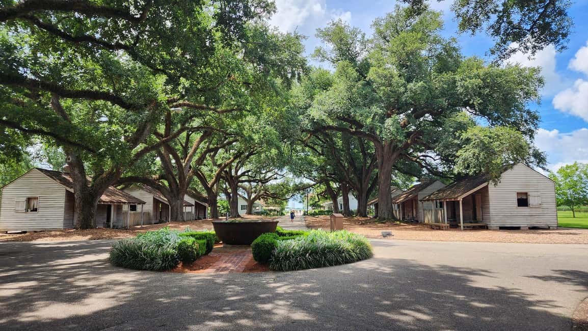 Immagine nº 12 di New Orleans: Tour di mezza giornata della piantagione di Oak Alley attività a Vacherie, Louisiana, caricata dal fornitore