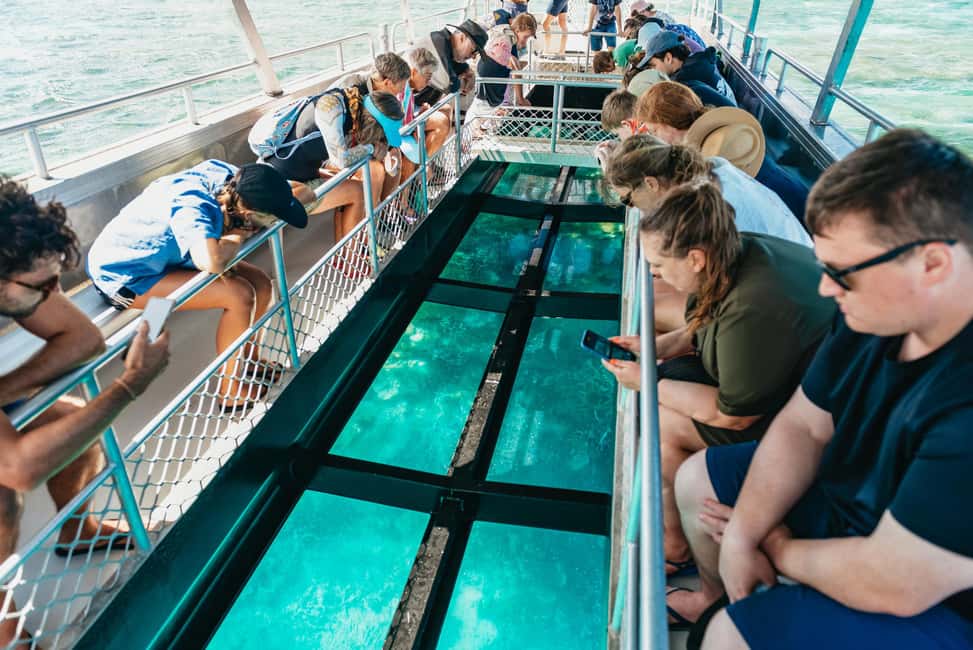 image n.3 of Bundaberg: Lady Musgrave Island and Great Barrier Reef Tour activity in Burnett Heads, uploaded by supplier