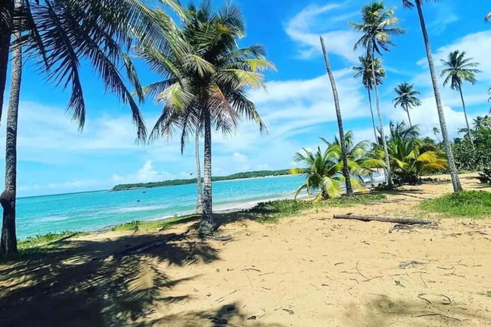 billede nr.11 af aktiviteten El Yunque & Piñones Tour; vandre, spise og slappe af som en lokal i Río Grande, Puerto Rico, uploadet af udbyder