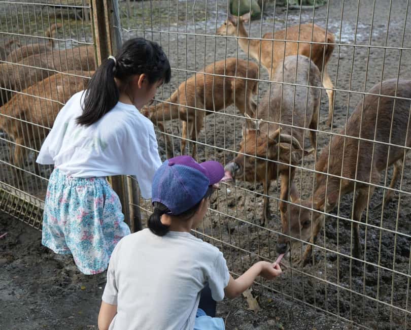 billede nr.3 af aktiviteten Selangor: Zoo Negara e-billet i Kuala Lumpur, uploadet af udbyder