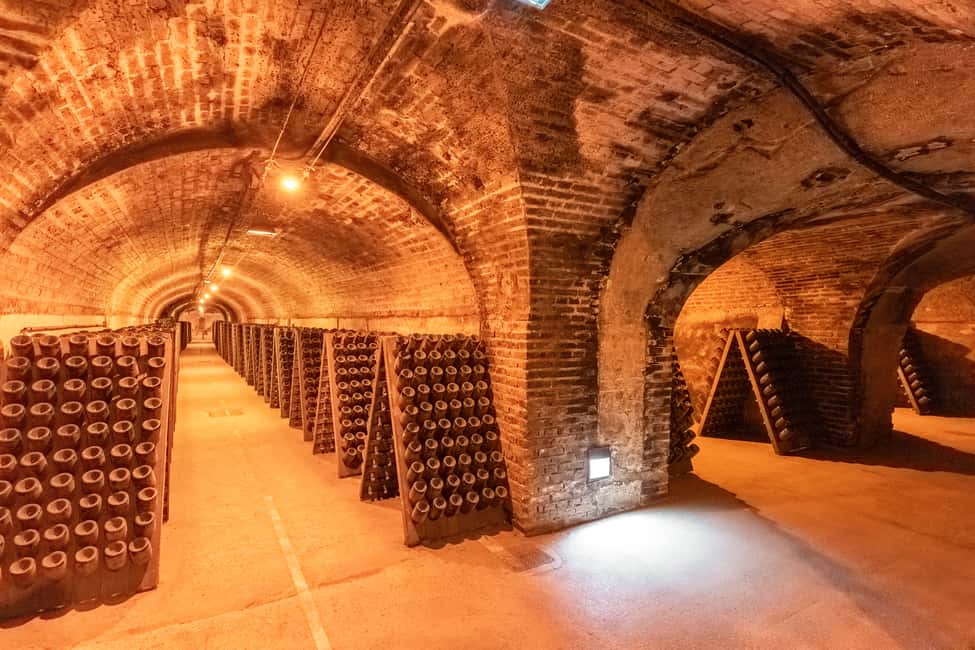 imagem n.17 de De Paris: Viagem de 1 dia para Champagne com 8 degustações e almoço atividade em Reims, carregada pelo fornecedor