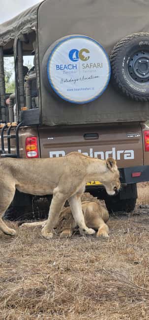 image n.12 of From Zanzibar: Day Selous Game Reserve Safari with Flights activity in Morogoro Region, uploaded by supplier