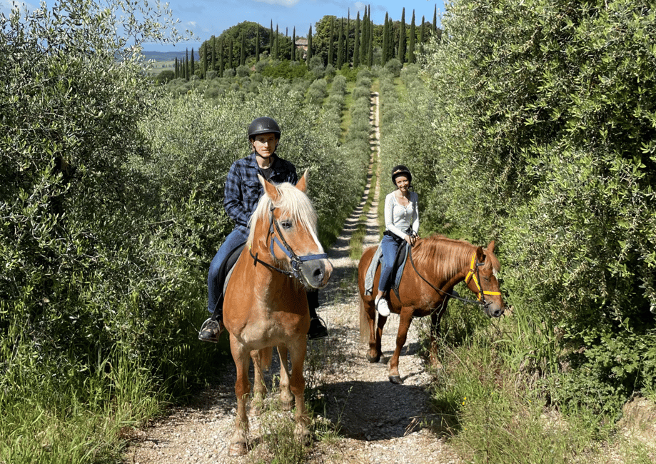 imagen n.º 4 de Siena: Aventura a caballo por la campiña toscana actividad en Siena, subida por el proveedor