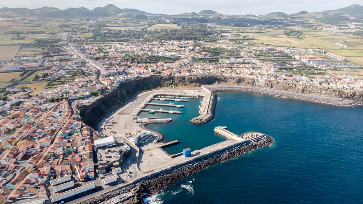 image n.22 of Rabo de Peixe: Sperm Whale Sanctuary Expedition activity in Ribeira Grande, uploaded by supplier
