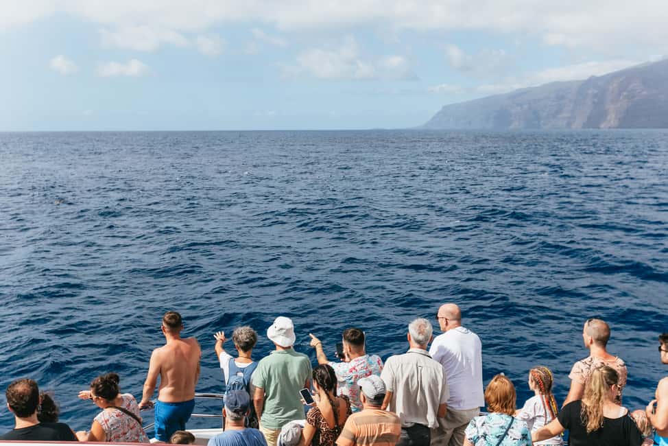 billede nr.16 af aktiviteten Adeje: Hval- og delfinsafari med frokost og svømmetur i Costa Adeje, uploadet af udbyder