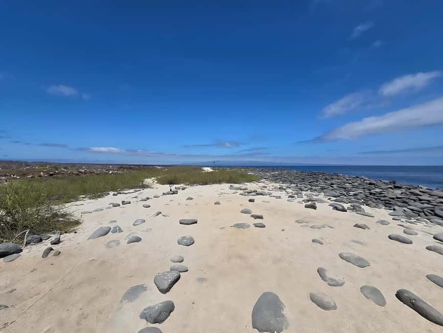 image n.3 of North Seymour Island: Full-Day Tour in Galapagos activity in Galápagos Islands, uploaded by supplier