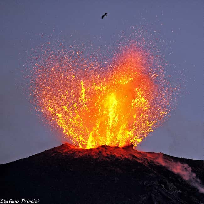 billede nr.5 af aktiviteten Stromboli: Trekking i solnedgangen ved Sciara del Fuoco i Lipari by, uploadet af udbyder