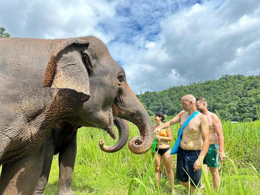 image n.7 of Chiang Mai: Elephant Sanctuary, Waterfall & Bamboo Rafting activity in Chiang Mai, uploaded by supplier