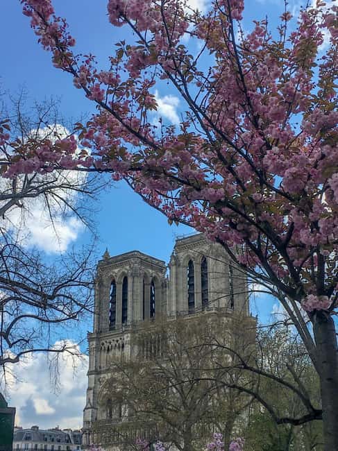 Image N°7 de Paris : Visite à pied des extérieurs de Notre-Dame et de l'île de la Cité activité à Paris, publiée par le prestataire