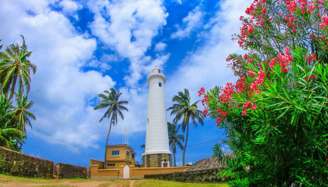 image n.6 of From Colombo: Galle Fort & Hikkaduwa Coastal Day Tour activity in Kosgoda, uploaded by supplier