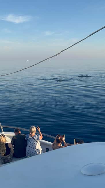 Bild Nr. 51 von Pula: Delfinbeobachtung & Sonnenuntergangskreuzfahrt mit Abendessen & Getränken Aktivität in Pula, Kroatien, hochgeladen vom Anbieter