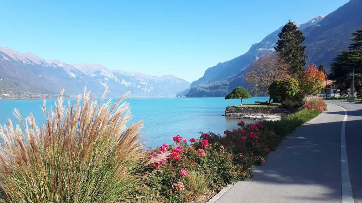 imagen n.º 3 de Explora los Pueblos Suizos: Interlaken-Grindelwald(Excursión Privada) actividad en Stechelberg, subida por el proveedor