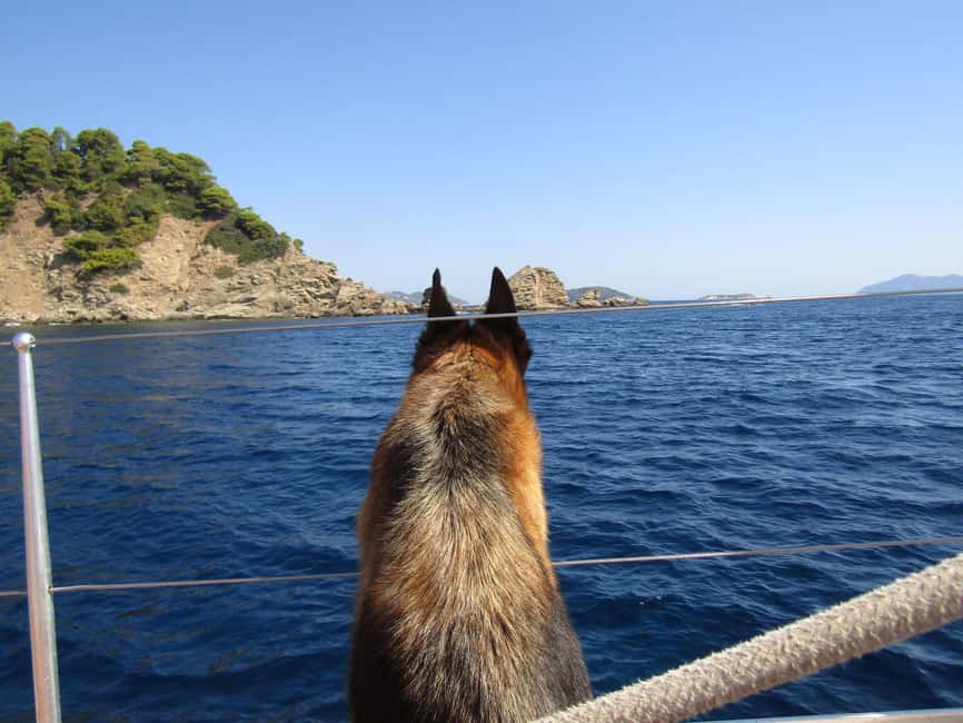 image n.39 of Skiathos: Day-Sailing Tour with Lunch on Board activity in Skopelos Town, uploaded by supplier