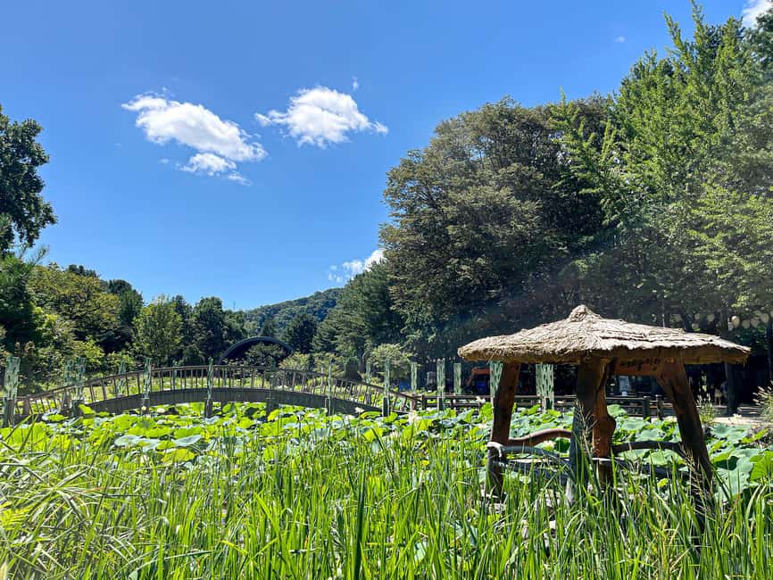imagem n.10 de Seul: Ilha de Nami e Jardim da Manhã Calma (+Caminho de Ferro) atividade em Chuncheon, carregada pelo fornecedor