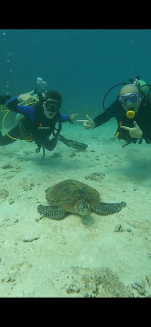 Immagine nº 16 di Isola di Daymaniyat: tour di snorkeling con pranzo gustoso attività a Seeb, caricata dal fornitore
