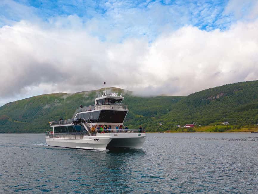 image n.25 of Tromsø: Arctic Fjord Cruise With Stop On Land At Fish Racks activity in Barents Sea, uploaded by supplier