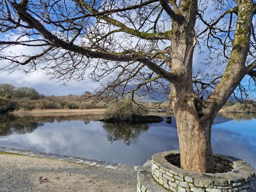 Obraz nr 26 z atrakcji Killarney: Rejs wycieczkowy na wyspę Innisfallen, jeziora Killarney w Munster, przesłany przez organizatora
