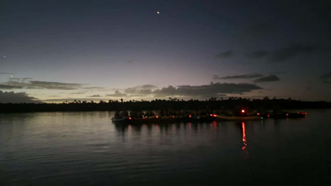 Obraz nr 11 z atrakcji San Juan: Bioluminescencyjny nocny spływ kajakowy po zatoce Laguna Grande w San Juan, przesłany przez organizatora