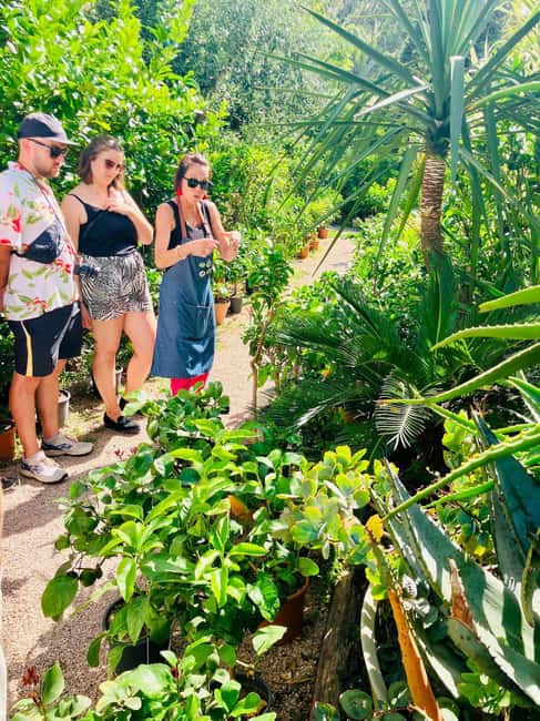 image n.18 of Menton: Citrus Farm, Old-Town & Botanic Full Day Tour activity in Menton, uploaded by supplier