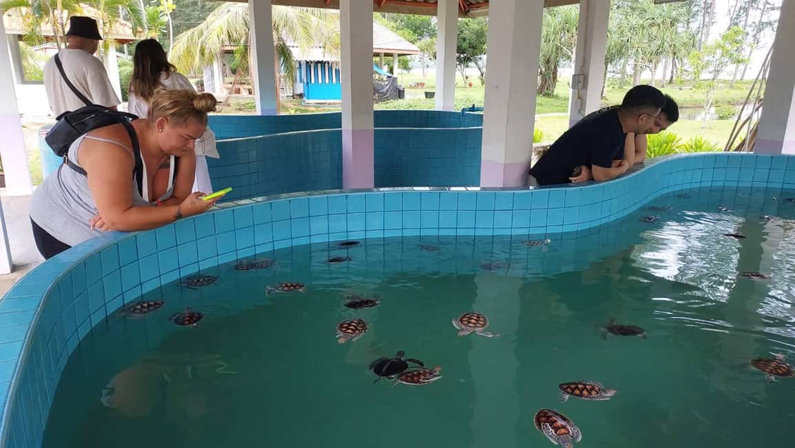 Immagine nº 11 di Khaolak: rafting su bambù, cascate e conservazione delle tartarughe attività a Provincia di Phang Nga, caricata dal fornitore