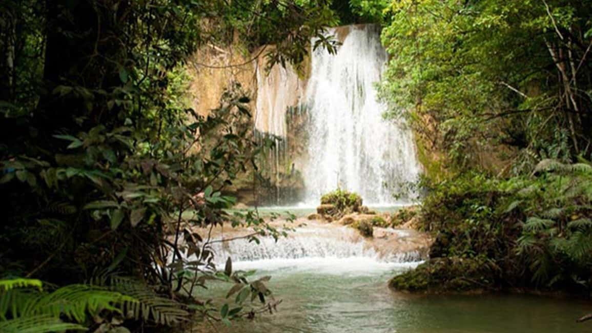image n.7 of From Punta Cana: Samana and Bacardi Island Cruise and Tour activity in Samaná, uploaded by supplier