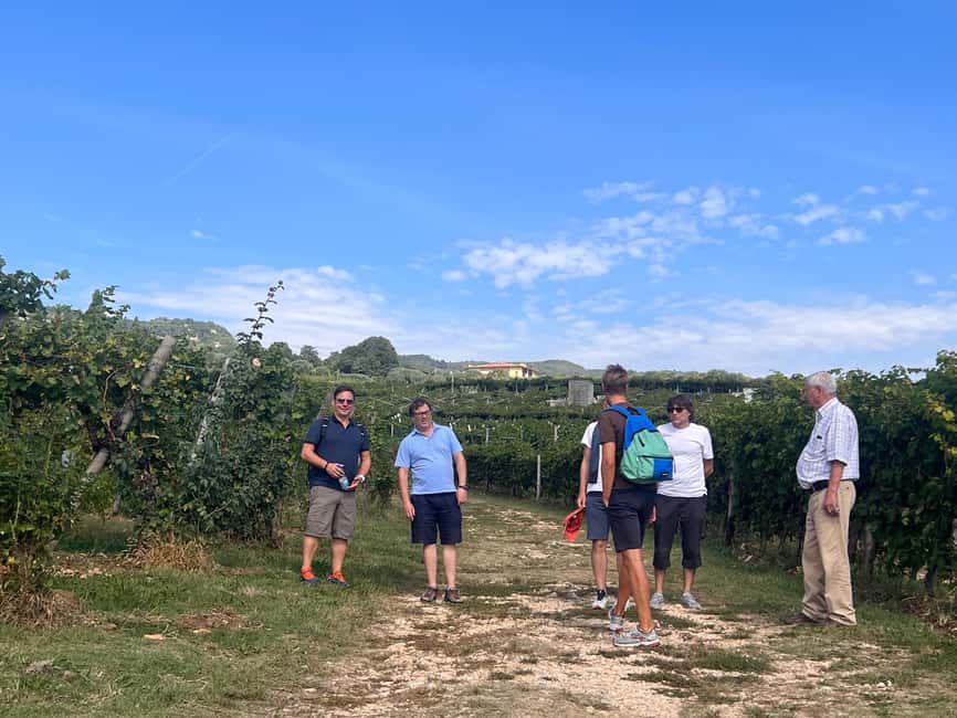 Immagine nº 49 di Il tour completo dell'Amarone: 2 cantine, pranzo e approfondimento sull'Amarone attività a Verona, caricata dal fornitore