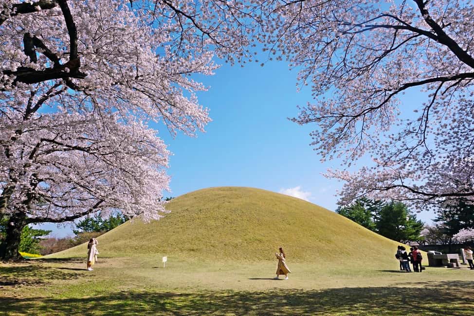 image n.4 of From Busan: Echoes of Silla Gyeongju Historical Day Tour activity in Gyeongju, uploaded by supplier