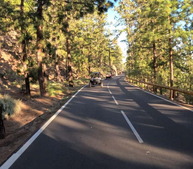 billede nr.9 af aktiviteten Tenerife: Teide Nationalpark og buggy-tur til vulkanen i Kanarieøerne, uploadet af udbyder