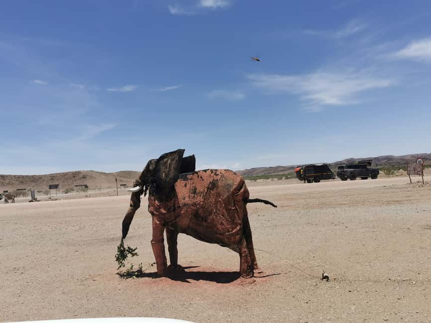 image n.9 of Elephant Adventure with Herson - a native of Damaraland activity in Kunene Region, uploaded by supplier