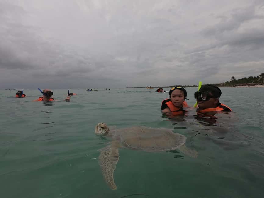 afbeelding n.10 van Akumal: Snorkelen met zeeschildpadden en koralen activiteit in Akumal, geüpload door aanbieder