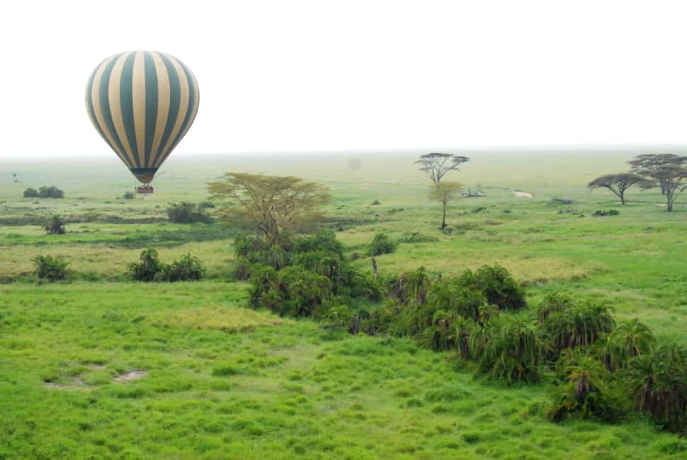 image n.2 of 3-Day Experience Wildlife and Hot Air Balloon Adventures activity in Mara Region, uploaded by supplier
