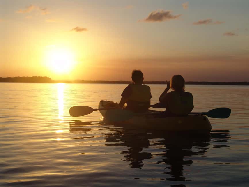 image n.7 of Noosa Heads: Hidden Waterways Wildlife Kayak (Fully Guided) activity in Noosaville, uploaded by supplier