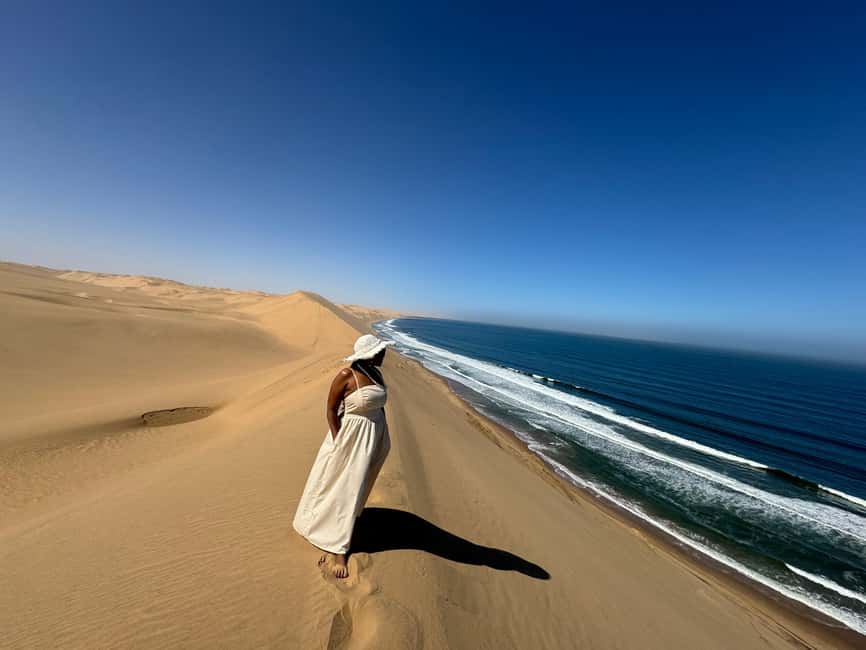 image n.55 of Walvisbay: Sandwich Harbour 4x4 Tour-Unparalleled Experience activity in Erongo, uploaded by supplier