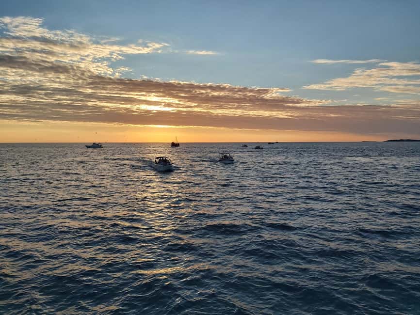 billede nr.4 af aktiviteten Pula: Delfin Sunset Cruise til Brijuni med middag og drinks i Pula, uploadet af udbyder