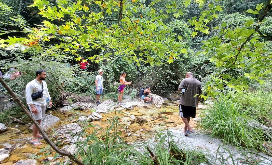 image n.9 of From Thessaloniki: Day Trip to Dion and Mount Olympus Park activity in Dion, Pieria, uploaded by supplier
