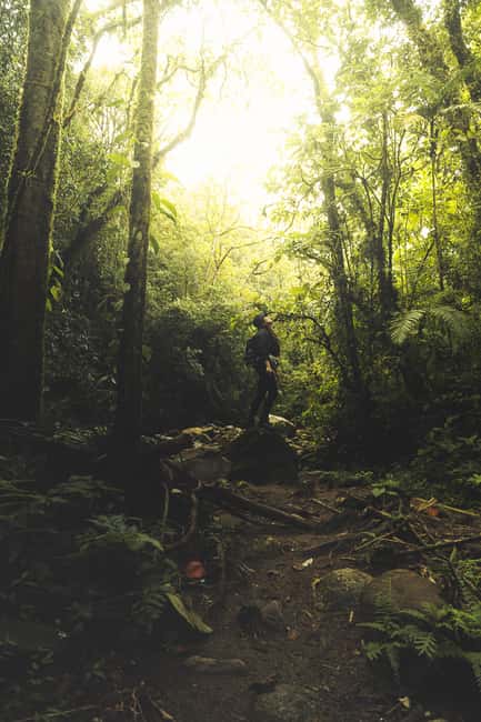 image n.2 of From Medellin Waterfalls: Guided Hiking Tour in Nature activity in Medellin, uploaded by supplier