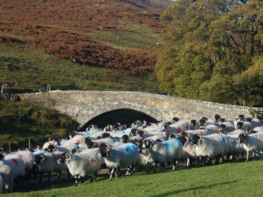 image n.12 of From Lake District: Full-Day Yorkshire Dales Tour activity in Pickering, uploaded by supplier