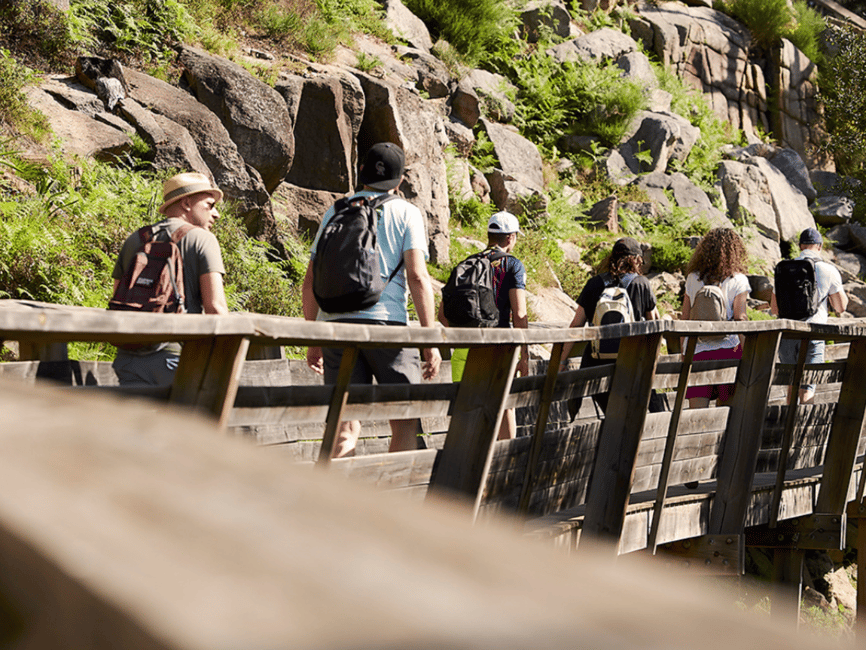 image n.17 of From Porto: Arouca 516 and Paiva Walkways Guided Day Trip activity in Arouca, uploaded by supplier