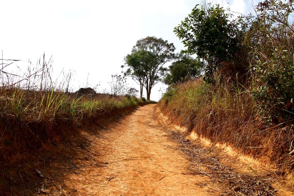 imagen n.º 7 de Desde Bangkok: Excursión de un día en grupo reducido al Parque Nacional de Khao Yai actividad en Provincia de Nakhon Nayok, subida por el proveedor