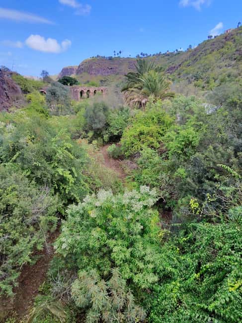 image n.29 of Private Bandama Caldera, Botanic Garden(/Wine*), Old Town activity in Las Palmas, uploaded by supplier