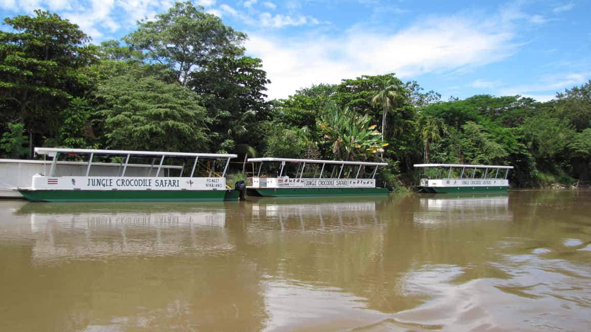 image n.11 of Tarcoles River: Jungle Crocodile Safari & Bird Watching Tour activity in San José, Costa Rica, uploaded by supplier