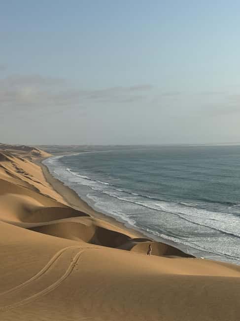 image n.79 of Walvisbay: Sandwich Harbour 4x4 Tour-Unparalleled Experience activity in Erongo, uploaded by supplier