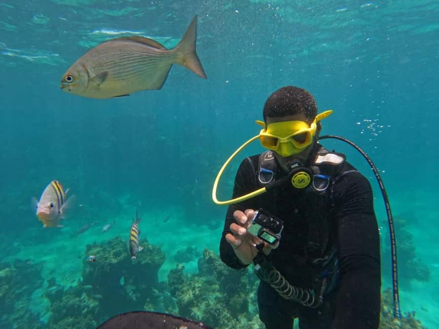 imagem n.10 de Punta Cana: Aventura Scuba Doo com traslado de ida e volta atividade em Higüey, carregada pelo fornecedor